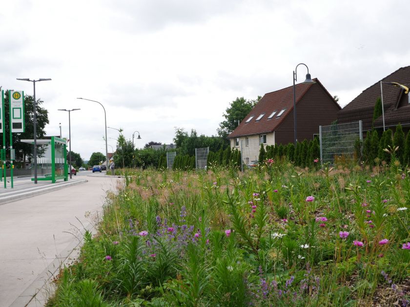 Unser Dorf hat Zukunft - Buke